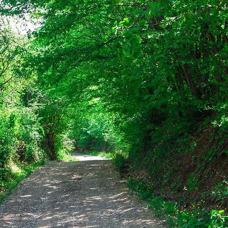 فيلا Na Okic - A Private Forest Oasis Sveti Martin pod Okicem المظهر الخارجي الصورة