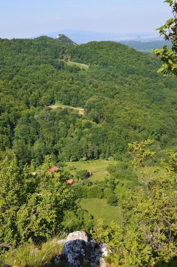 فيلا Na Okic - A Private Forest Oasis Sveti Martin pod Okicem المظهر الخارجي الصورة