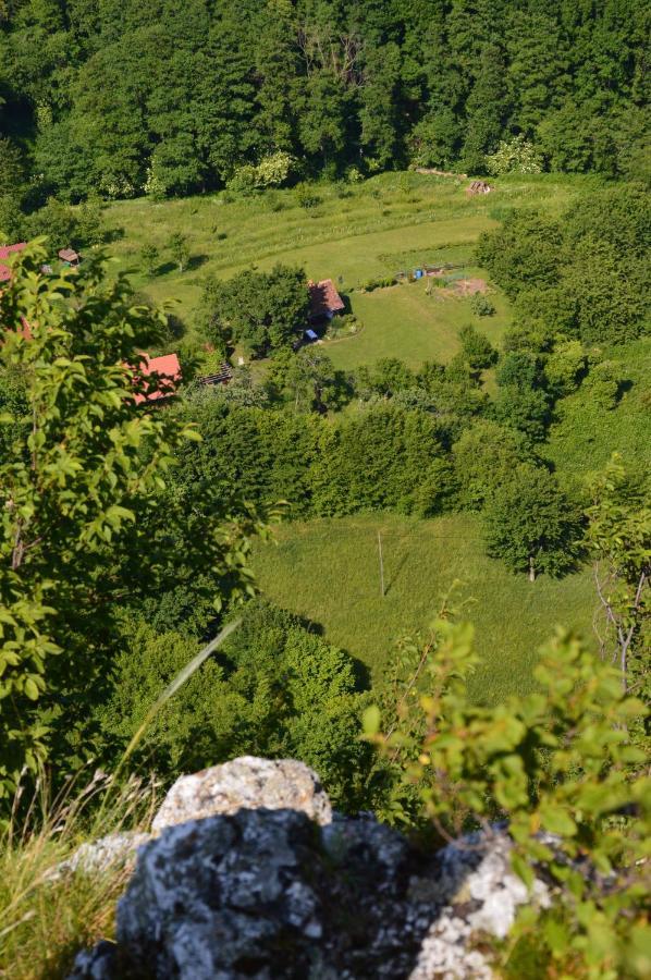 فيلا Na Okic - A Private Forest Oasis Sveti Martin pod Okicem المظهر الخارجي الصورة