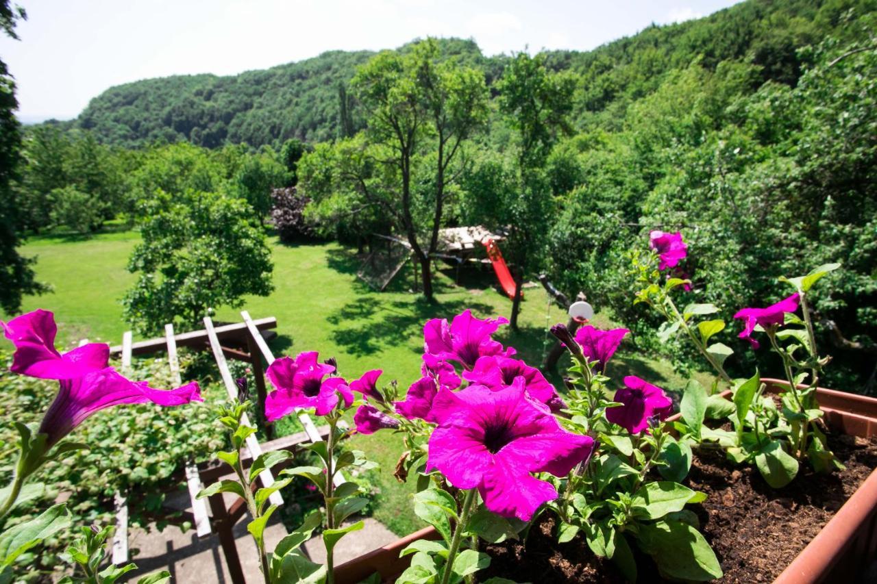 Na Okic - A Private Forest Oasis Sveti Martin pod Okicem المظهر الخارجي الصورة