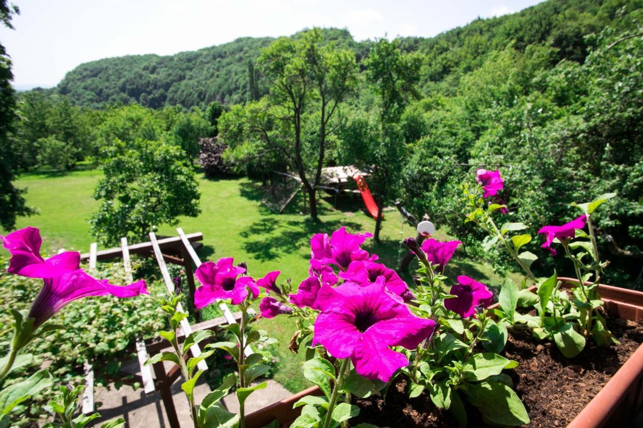 فيلا Na Okic - A Private Forest Oasis Sveti Martin pod Okicem المظهر الخارجي الصورة