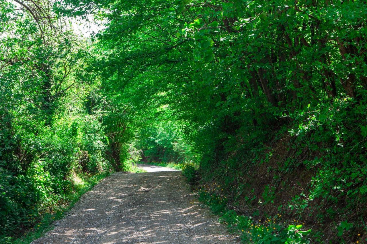 فيلا Na Okic - A Private Forest Oasis Sveti Martin pod Okicem المظهر الخارجي الصورة