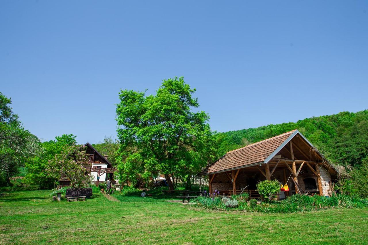 Na Okic - A Private Forest Oasis Sveti Martin pod Okicem المظهر الخارجي الصورة