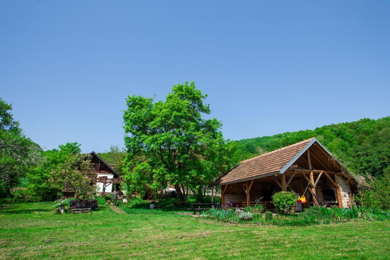 فيلا Na Okic - A Private Forest Oasis Sveti Martin pod Okicem المظهر الخارجي الصورة